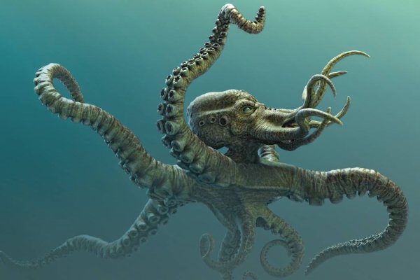 Kraken россия