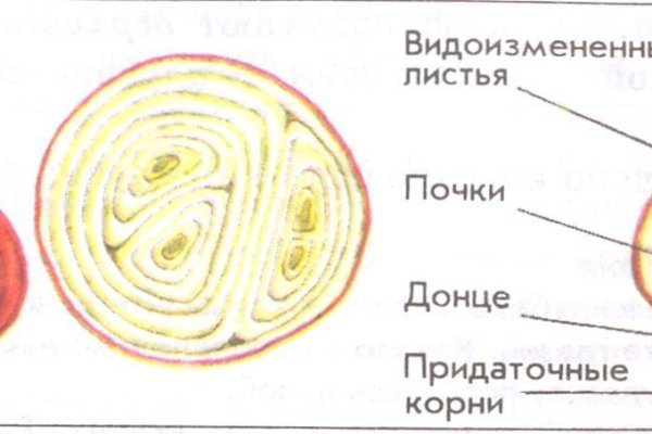 Кракен как войти через тор